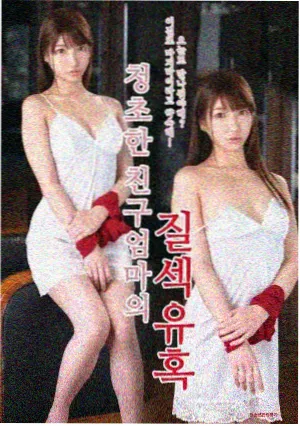 屋顶上的第九年作品封面